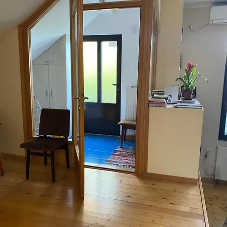 Jelena Sumarice * Divostin