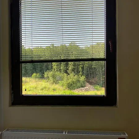 Daire Jelena Sumarice Divostin