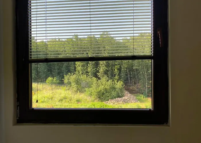 Apartment Jelena Sumarice Divostin